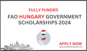 Hungarian Government Scholarships (Hungary)