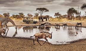 Serengeti National Park – Tanzania
