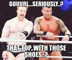 Funny Randy Orton and Sheamus Meme