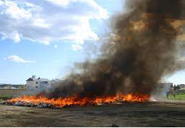 Over 25,000 People Accidentally Get High After Turkish Police Burn 20 Tons of Marijuana